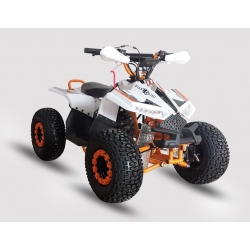 Diabolini Blazer 110 CC Quad ATV Automatic